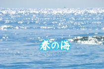 海の画像